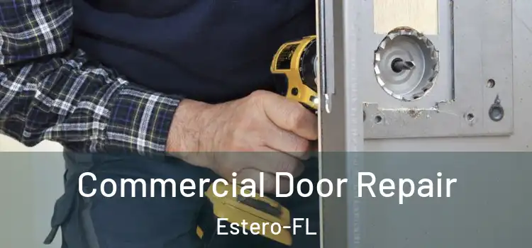 Commercial Door Repair Estero-FL