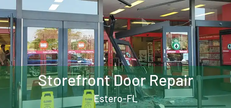 Storefront Door Repair Estero-FL